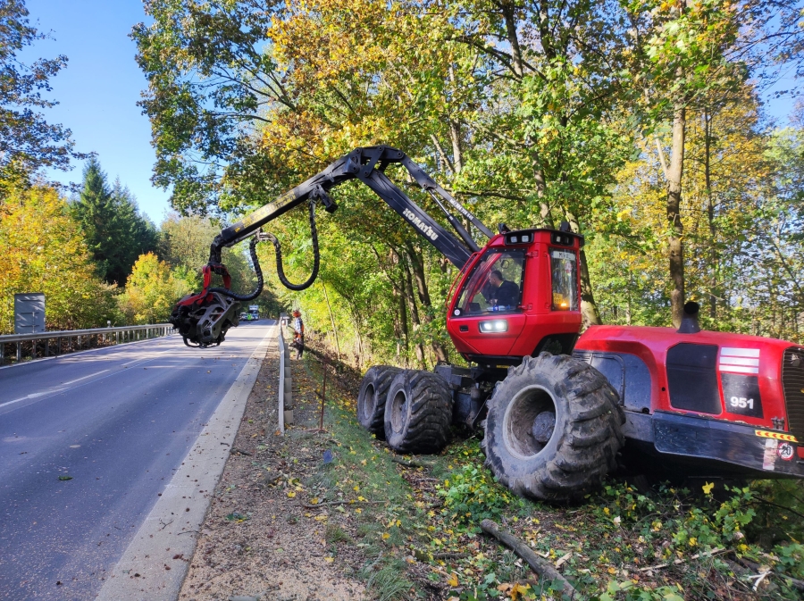 Nahodilá těžba u silnice I17